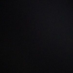 Meet your Posher, Bailey